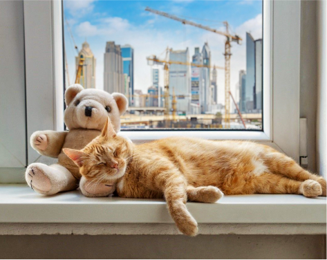 Рассрочка на 3 месяца